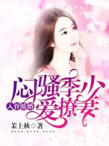 入骨暖婚：闷骚季少爱撩妻